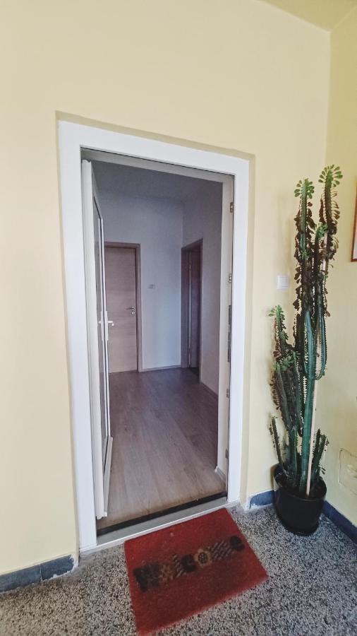 شقة بولا  في Apartman Dora المظهر الخارجي الصورة